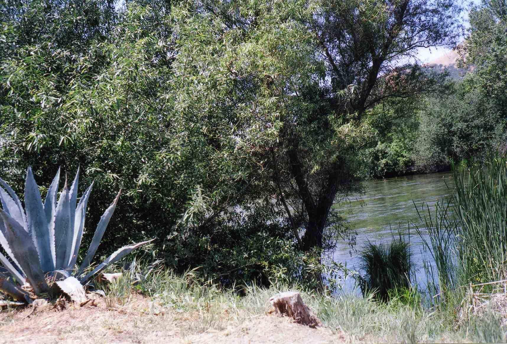 Sequoia Riverfront Cabins Three Rivers Kültér fotó