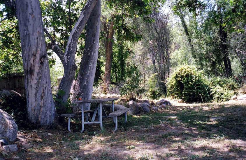 Sequoia Riverfront Cabins Three Rivers Szoba fotó